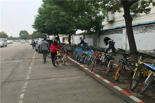 志愿者们摆好共享单车 王嘉玲摄